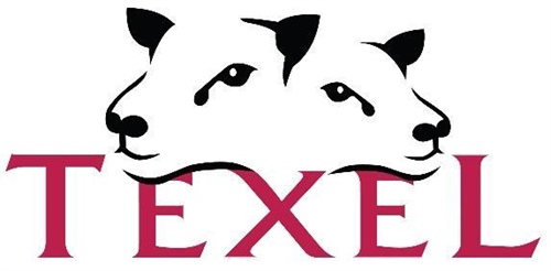 The British Texel Sheep Society