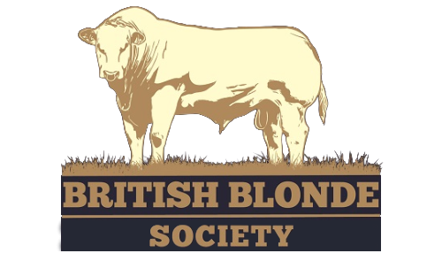 British Blonde Society